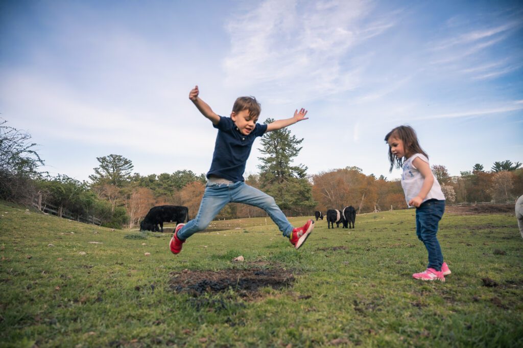 Young boy jumping with arms outstretched while his sister watches in a farm pasture with Belted Galloway cows in the background.