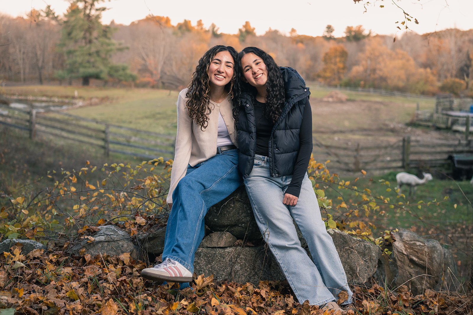 Two teenage sisters sitting on a stone wall surrounded by autumn leaves during a MetroWest fall family session