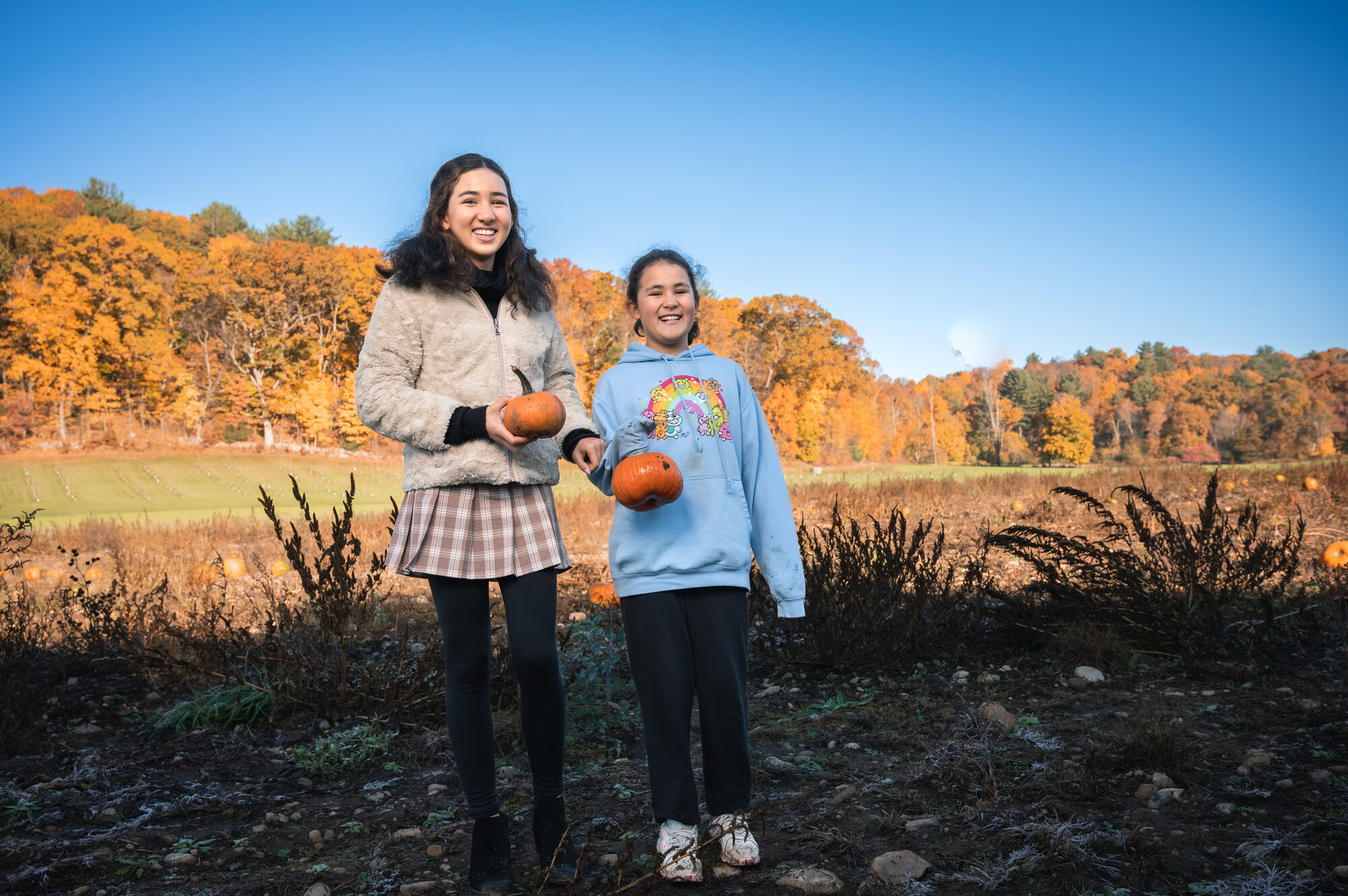 Two sisters holding small pumpkins in a farm field under a clear blue autumn sky
