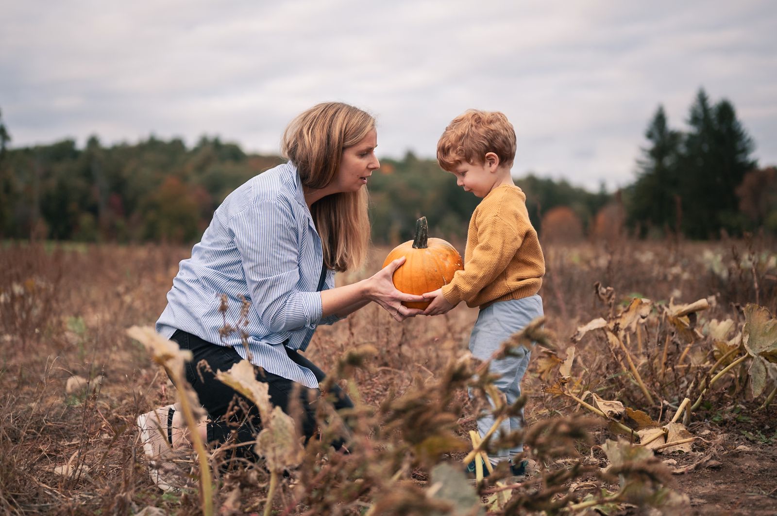 A mom kneeling in the pumpkin patch handing a small pumpkin to her toddler, Lincoln MA family photos