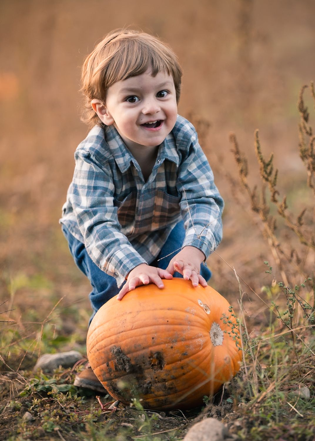 Grinning toddler in a plaid shirt pushing a muddy pumpkin during a family photo session at Flint Farm